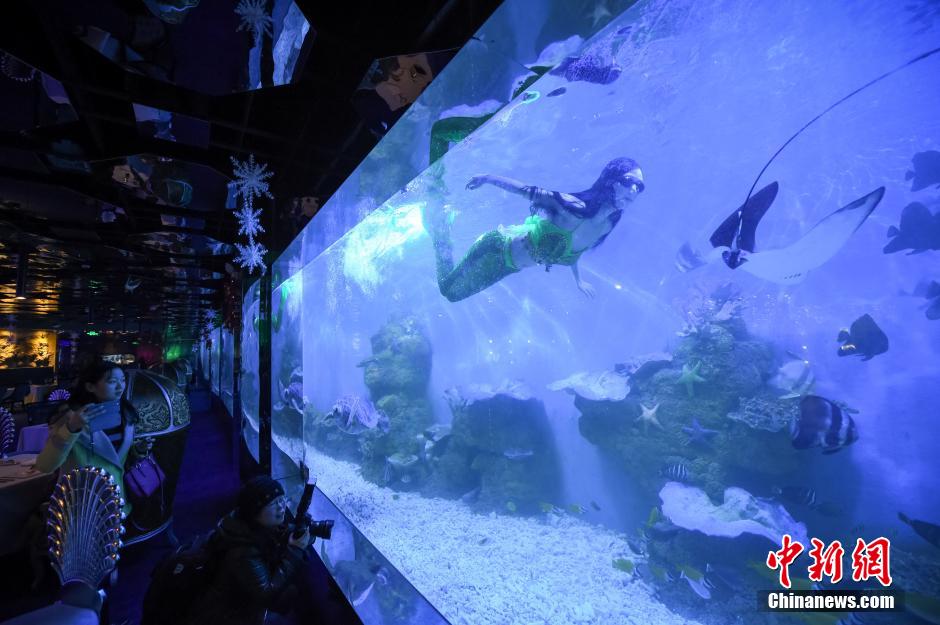 海底餐厅亮相合肥 与“美人鱼”餐前约会