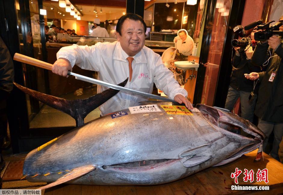 日本水产市场新年开市 巨型金枪鱼卖近24万元（组图）