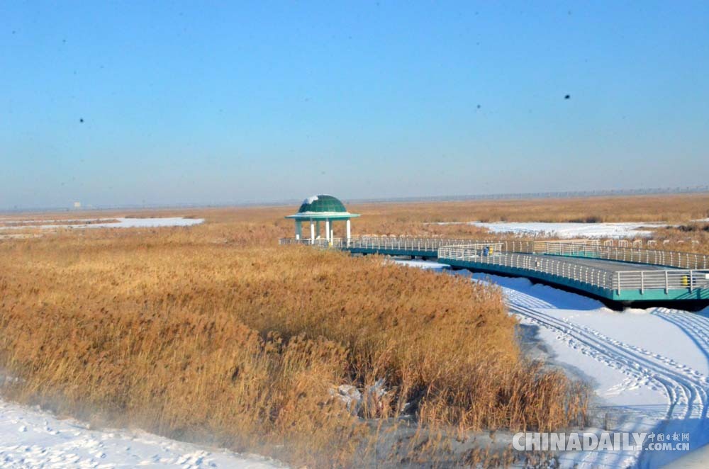 “冰雪之冠”黑龙江 雪地温泉70℃温差鲜体验