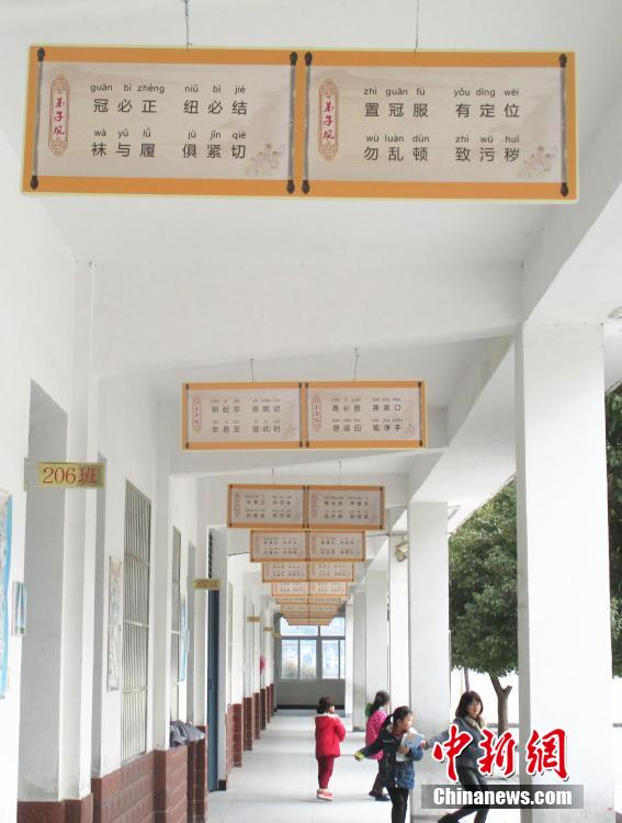安徽一教学楼走廊挂满国学经典句子 成独特风景