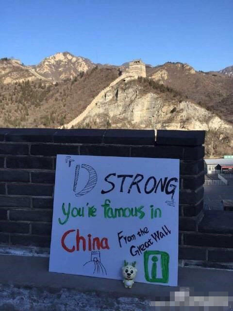 美国癌症男孩死前欲扬名中国 网友助圆梦