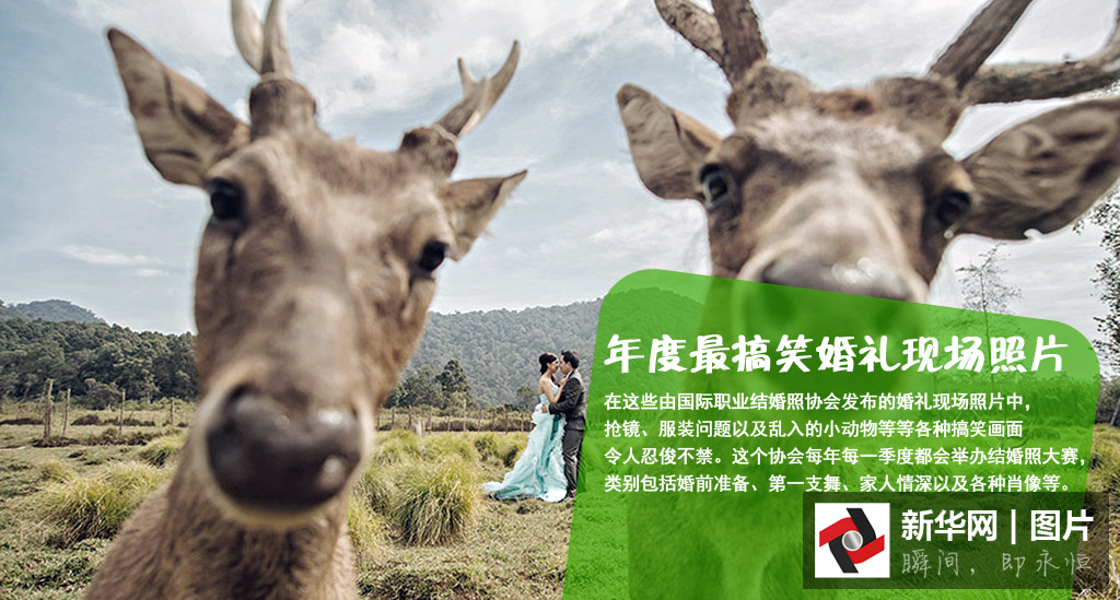 城会玩！年度最搞笑婚礼现场照片