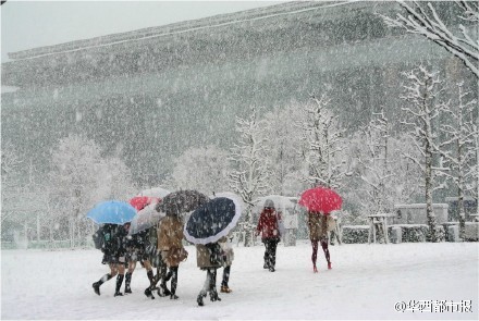 日本女高中生光腿趴雪地 惊呆中国网友