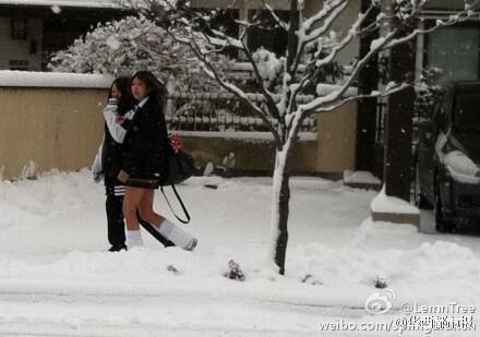 日本女高中生光腿趴雪地 惊呆中国网友