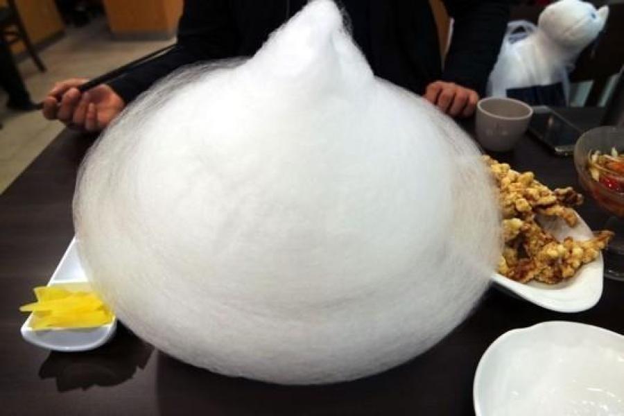 韩国中餐馆现黑暗料理 棉花糖拌炸酱面