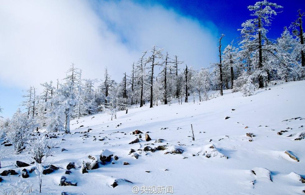 极寒、极景：零下40℃的大兴安岭林海雪原