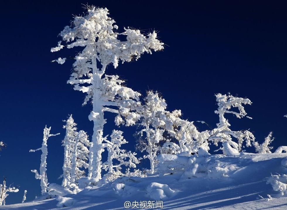 极寒、极景：零下40℃的大兴安岭林海雪原