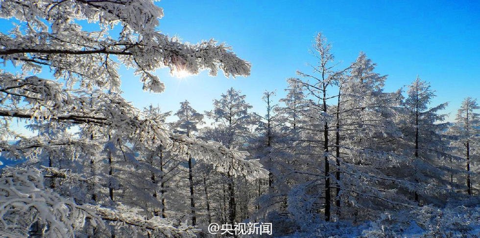 极寒、极景：零下40℃的大兴安岭林海雪原