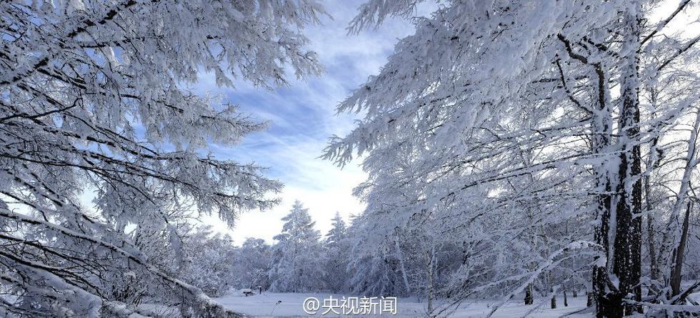 极寒、极景：零下40℃的大兴安岭林海雪原