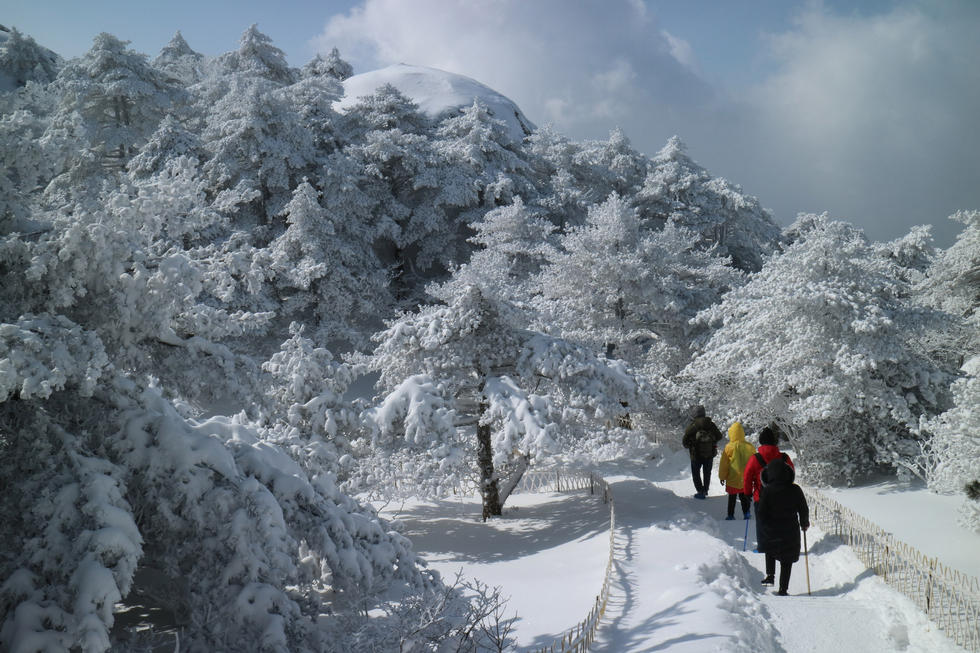 安徽黄山降雪达40厘米 美若童话世界