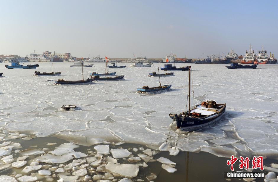 寒潮继续 渤海近三成面积被海冰覆盖