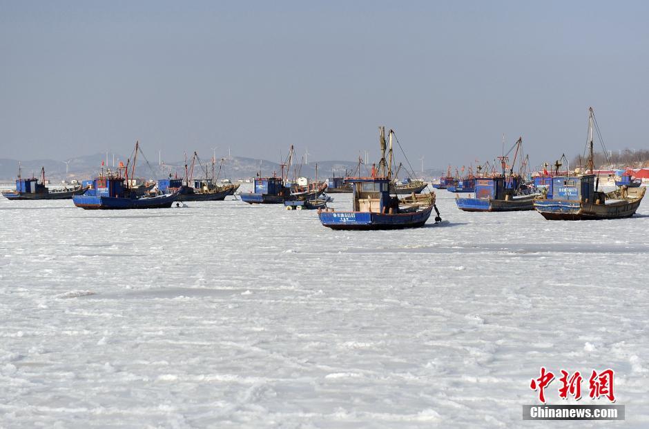 寒潮继续 渤海近三成面积被海冰覆盖