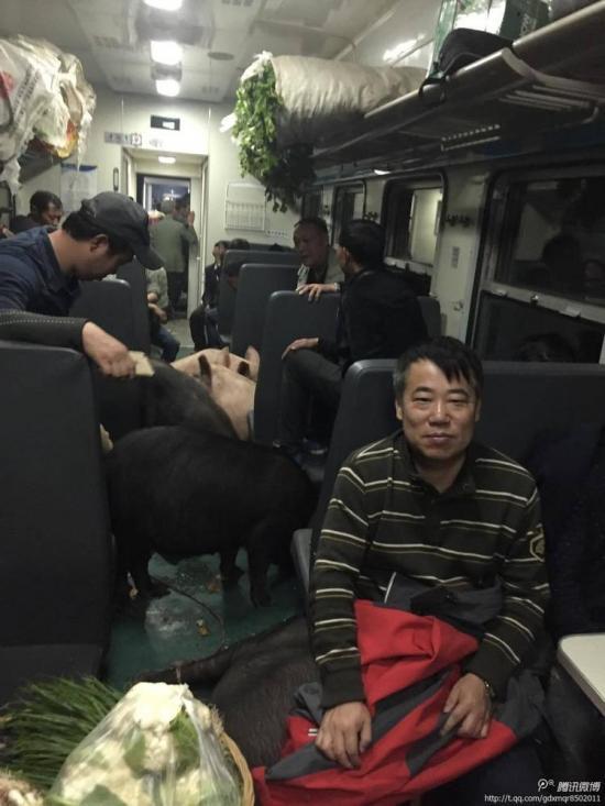 网传“二师兄坐火车回家过年”的辛酸真相