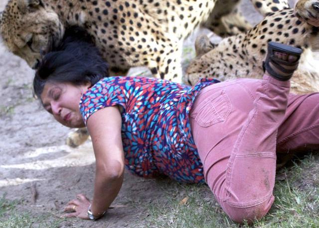 女子解救被猎豹袭击的小孩反遭撕咬