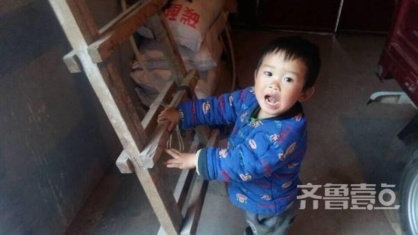 有爱！老农爬梯为燕子加固老巢