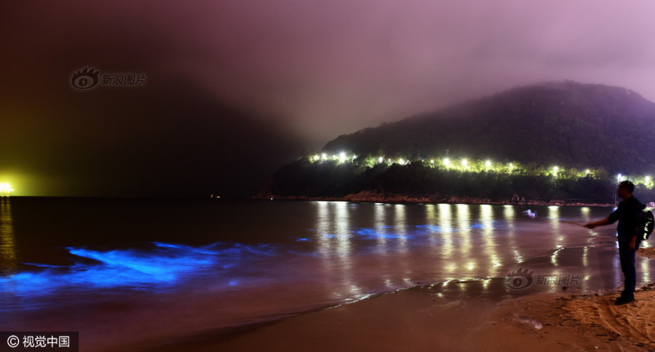 深圳海域现荧光海 专家称系夜光藻赤潮