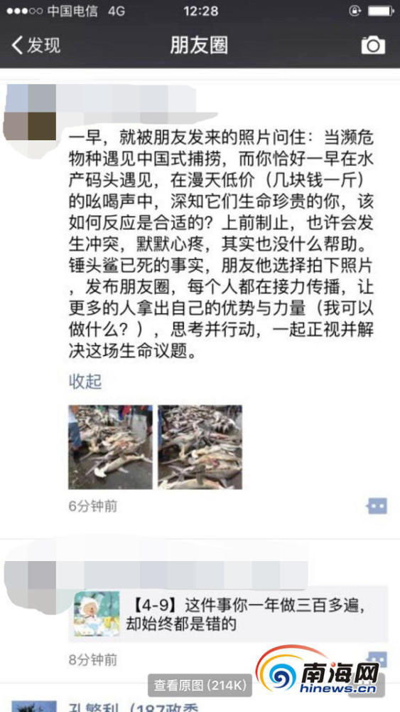 三亚贱卖濒危物种锤头鲨：几块钱一斤