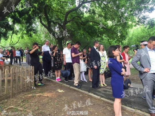 撒贝宁武汉婚礼现场曝光 尼格买提主持婚礼