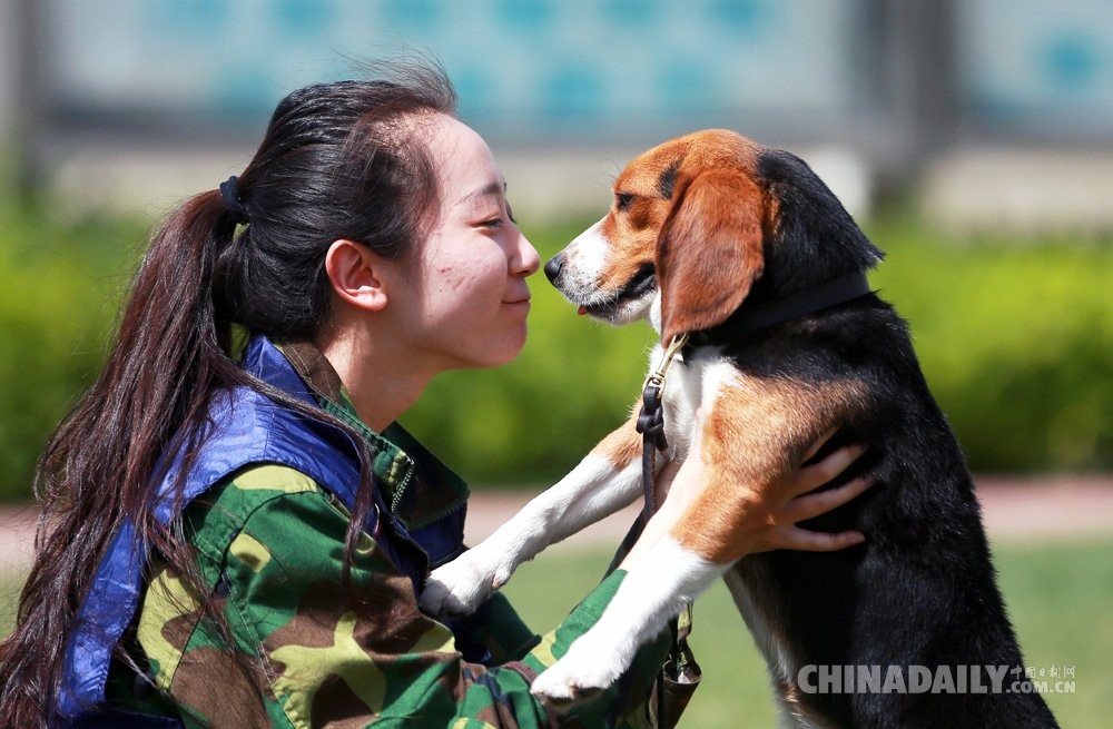 "国门新卫士"检疫犬是怎么练成的?