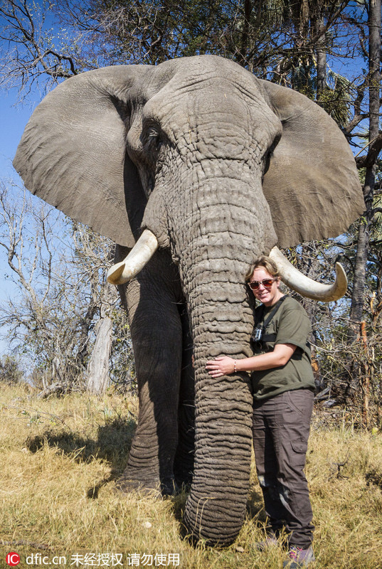 澳大利亚女摄影师历时十年拍摄非洲象