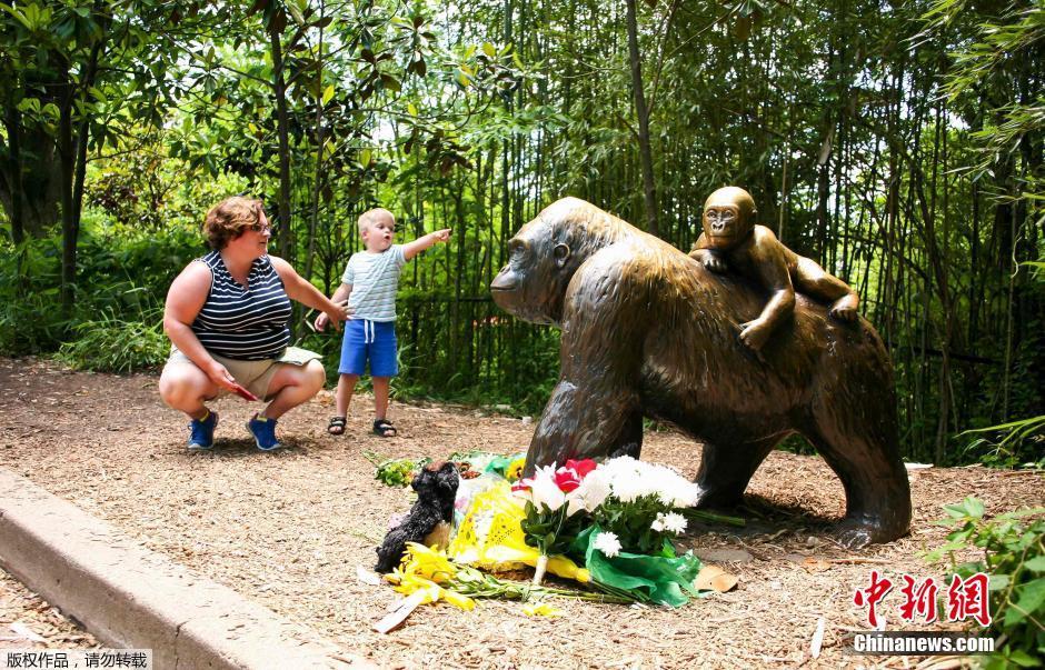 美国动物园为救男童射杀大猩猩 民众鲜花悼念