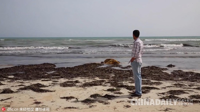 利比亚惊现“死亡沙滩”一百多具海难者尸体被冲到岸边