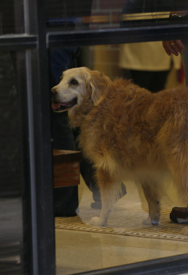 9/11事件最后一只搜救犬被安乐死 警员列队敬礼