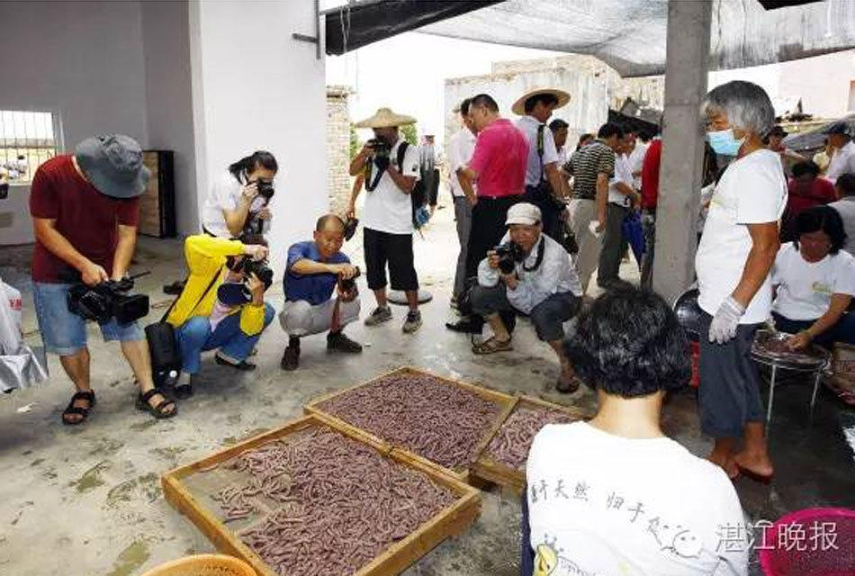 广东湛江一农妇以挖虫为生 1个月赚三五千