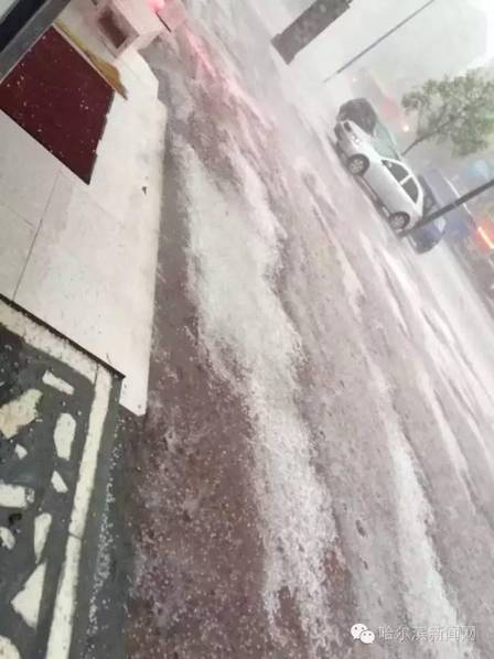 暴雨冰雹突袭哈尔滨 街道成“冰河”