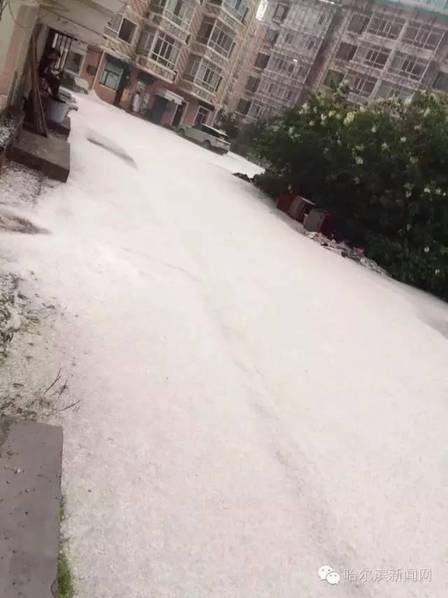 暴雨冰雹突袭哈尔滨 街道成“冰河”