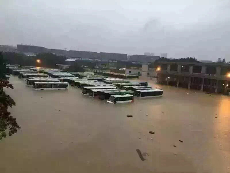 广西柳州暴雨 10多辆公交车被淹没