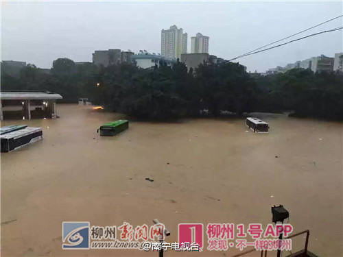 广西柳州暴雨 10多辆公交车被淹没