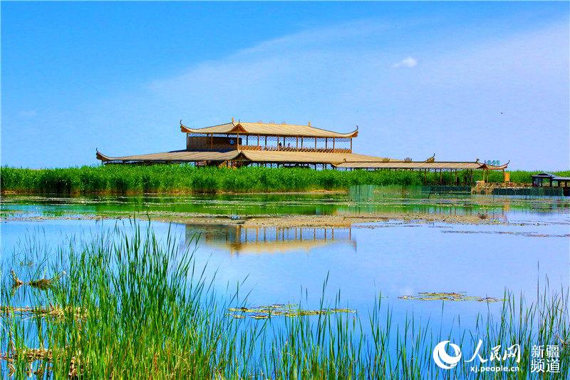 新疆博斯腾湖夏季风光怡人似江南（图）