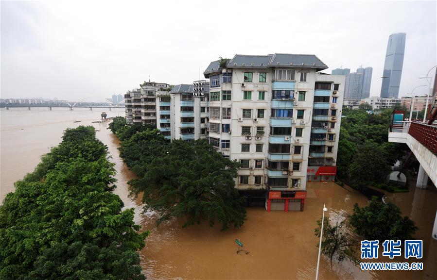 广西柳州市区柳江水位超警戒水位 市民划船出行