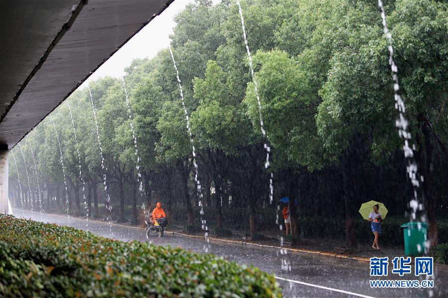 浙江湖州日雨量创历史单日新高