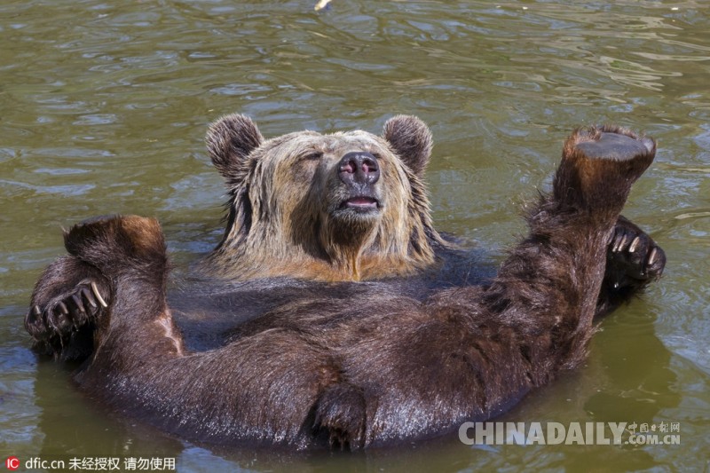这些小动物也太不正经了 画面太污我都不敢看