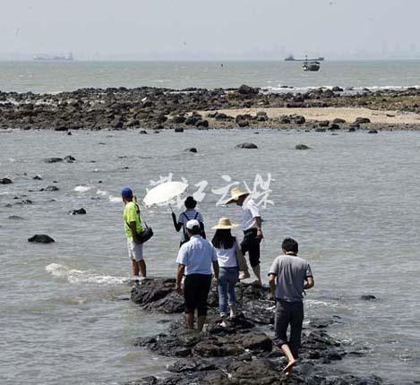 湛江现清朝“海上墓” 扫墓需等退潮