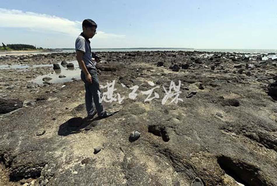 湛江现清朝“海上墓” 扫墓需等退潮