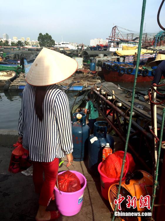 南海开渔在即 广西渔港一片繁忙