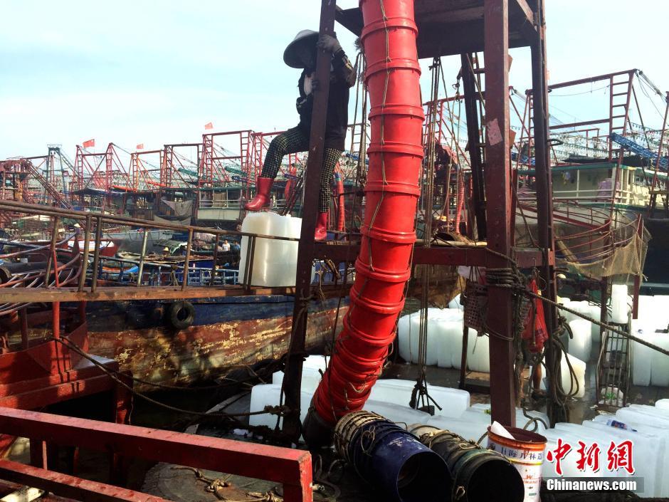 南海开渔在即 广西渔港一片繁忙