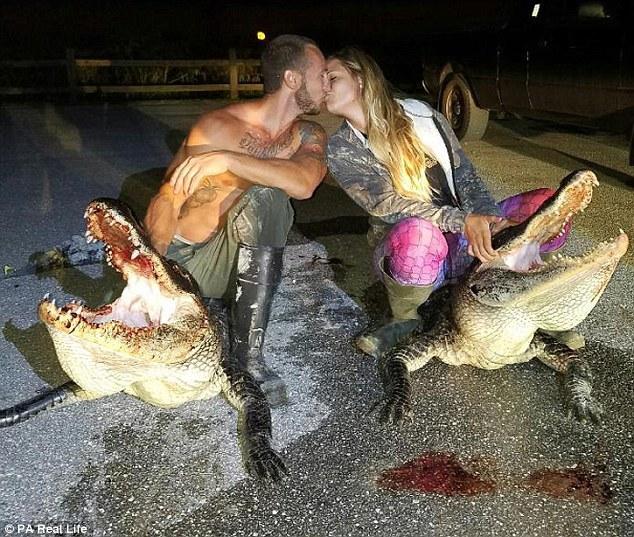 美女爱好抓鳄鱼：为了人类安全捕杀它们