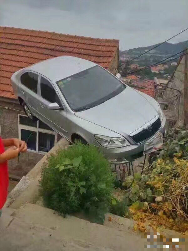 司机倒车冲上屋顶 网友：你咋不上天呢