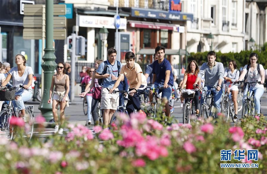 布鲁塞尔迎来全城无车日 市民骑自行车出行