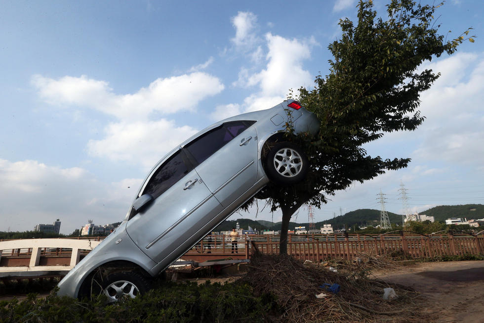 韩国遭台风袭击 汽车被掀上树 玩倒立