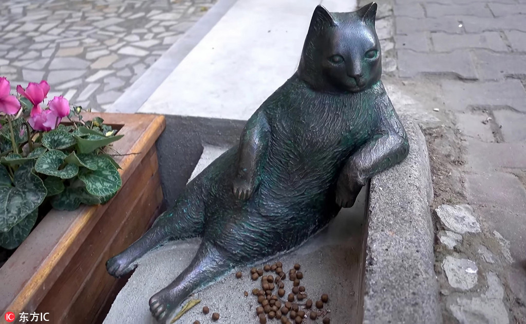 土耳其“葛优瘫”网红猫去世 网友立等身雕像纪念