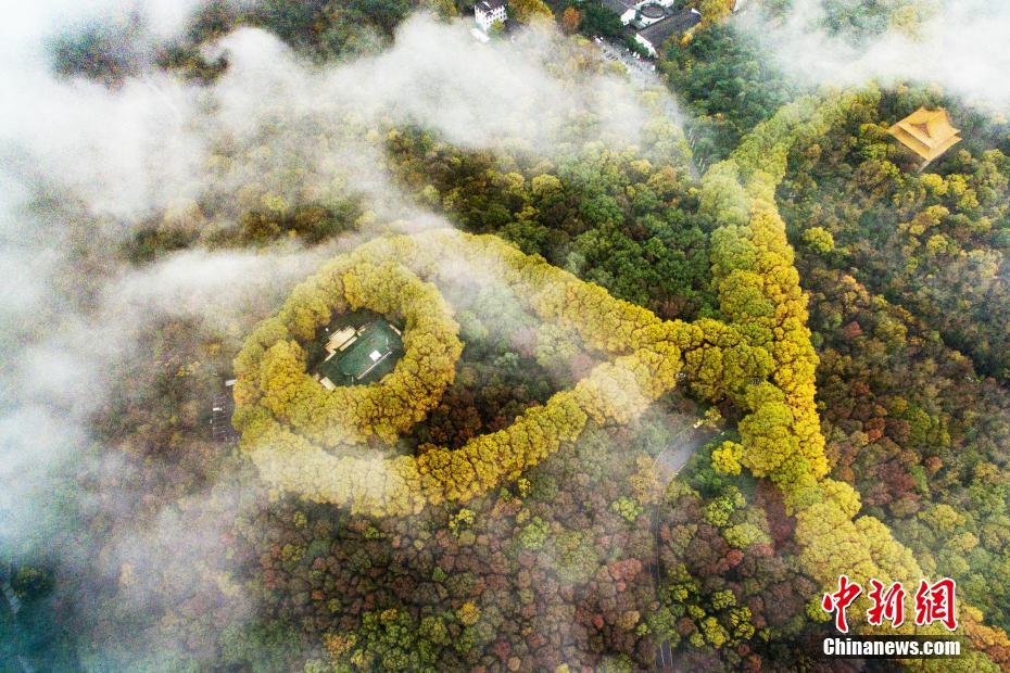 穿过云雾俯瞰南京紫金山“最美项链”