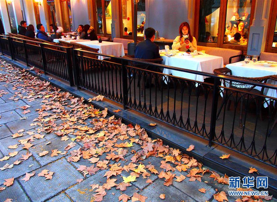 上海：落叶景观道 城市自然美