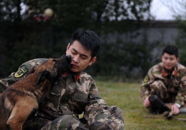 消防兵退伍搜救犬扑上车要跟着走