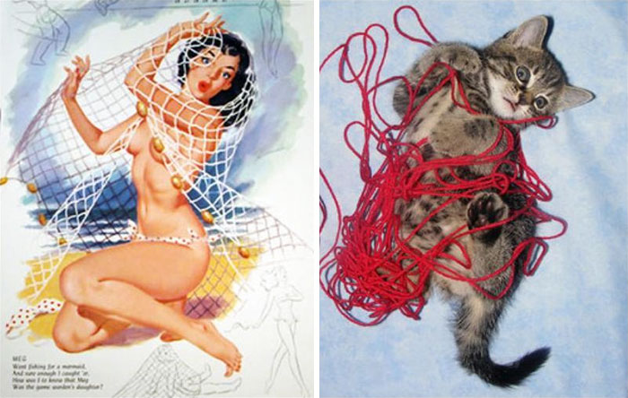猫与美女动作出奇一致 妖娆又逗趣走红网络