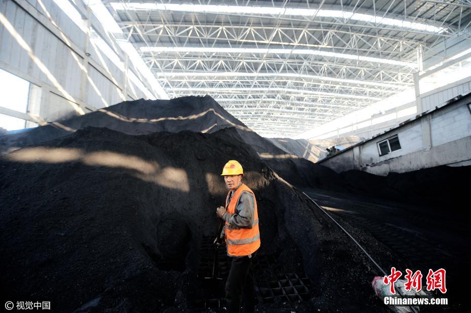 济南一煤场花6000万建遮盖棚 面积超3个足球场